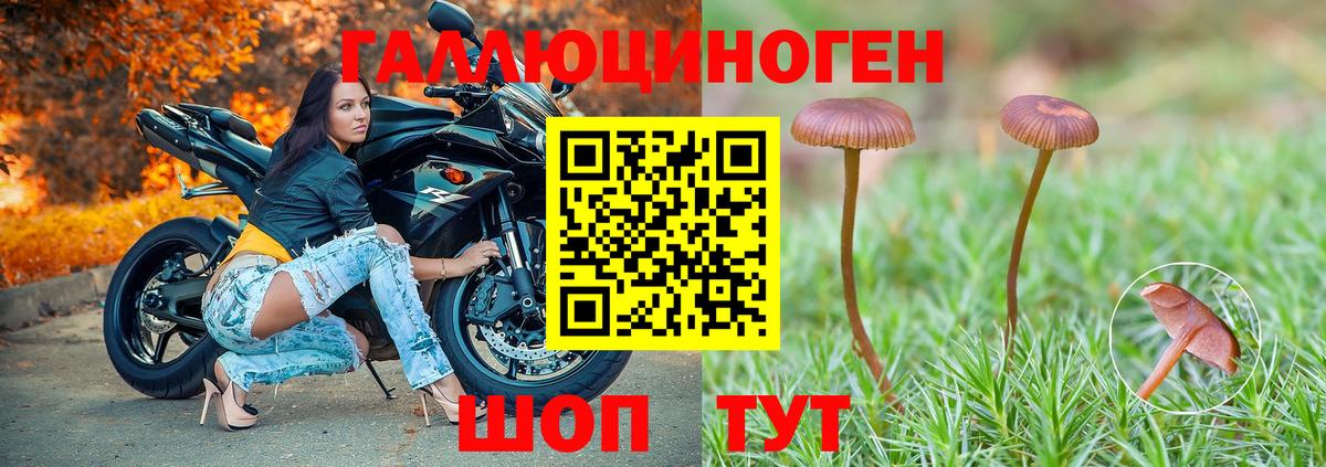 Псилоцибиновые грибы Cubensis  Галлюциногенные грибы MAGIC MUSHROOMS  Кызыл  Вход с VPN 