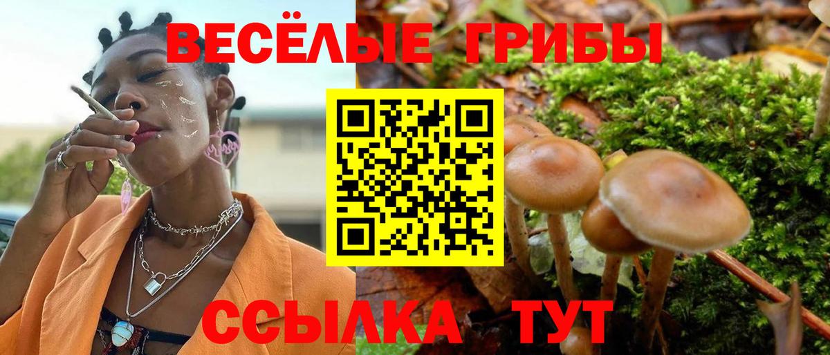 Галлюциногенные грибы Magic Shrooms Кызыл